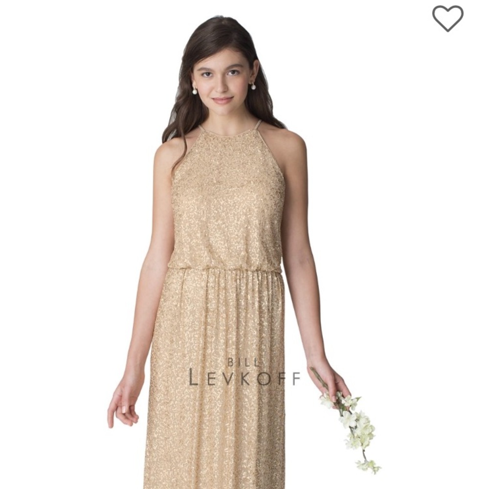 Bill Levkoff Dress! Style 1258